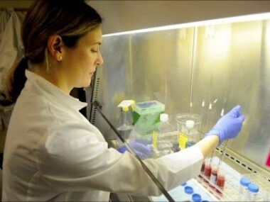 gel, cord blood platelets