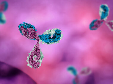 immunoglobulin