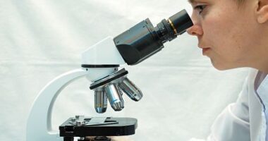 RDEB stem cell study