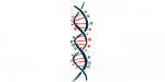 A DNA double helix is illustrated.