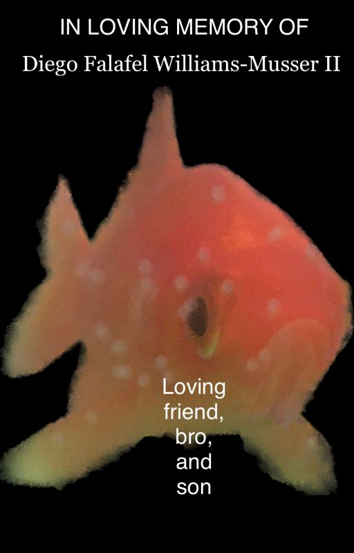 A meme Jonah created for an Instagram story shows a close-up of a goldfish with white spots. The text at the top states: "In loving memory of Diego Falafel Williams-Musser II." At the bottom, the text states, "Loving friend, bro, and son." 