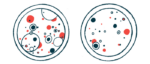 An illustration of two petri dishes.