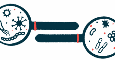 Two magnifying glasses, facing opposite directions, show a variety of different types of bacteria under their lenses.