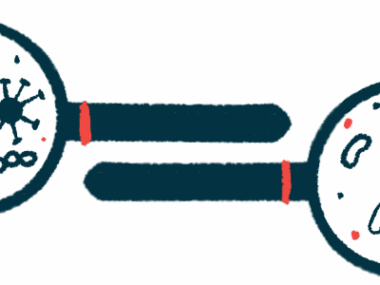 Two magnifying glasses, facing opposite directions, show a variety of different types of bacteria under their lenses.