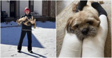 A two-photo collage; in the left photo, a teenage boy in a red and white stocking cap holds a medium-sized dog in his arms outside on a sunny, winter day with snow on the ground; in the right photo, a tiny dog's head is seen through a boy's legs, which are wrapped in bandages. 