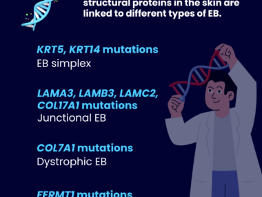 An infographic outlines the main cause of EB.