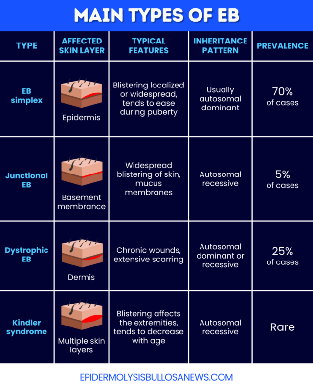 An infographic provides details on the main types of EB.